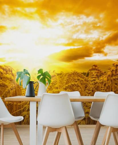 Gouden zonsondergang in muurschildering van tarweveld