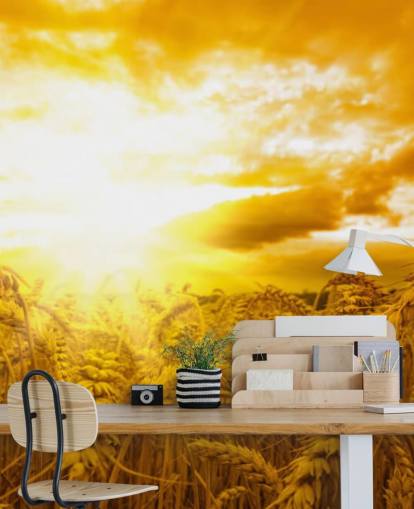 Golden Sunset in Wheat Field Wall Mural