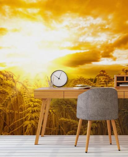 Goldener Sonnenuntergang im Weizenfeld Fototapete