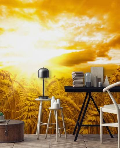 Golden Sunset in Wheat Field Wall Mural Golden Sunset in Wheat Field Wall Mural
