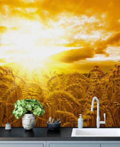 Golden Sunset in Wheat Field Wall Mural Golden Sunset in Wheat Field Wall Mural