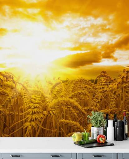 Golden Sunset in Wheat Field Wall Mural