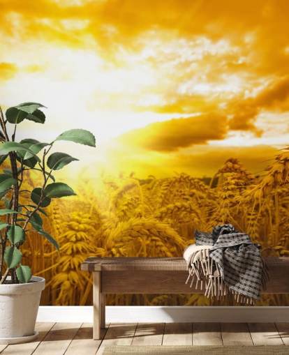 Golden Sunset in Wheat Field Wall Mural