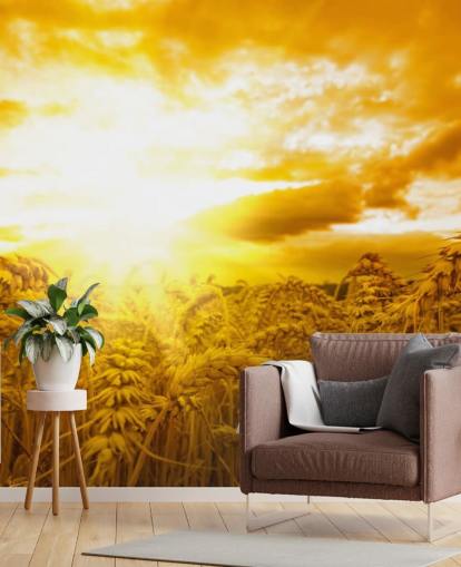 Golden Sunset i Hvete Felt Veggmaleri