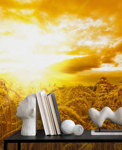 Mural de pared Atardecer dorado en un campo