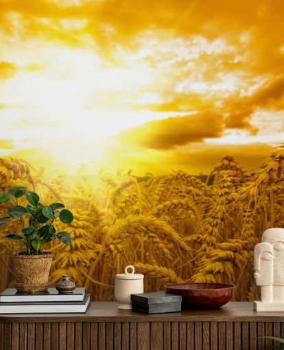 Golden Sunset in Wheat Field Wall Mural