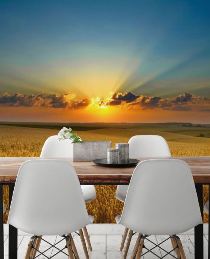 Gouden tarweveld bij zonsondergang muurschildering Gouden tarweveld bij zonsondergang muurschildering