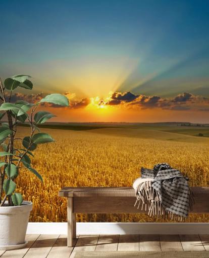 Campo de trigo dourado no Sunset Wall Mural