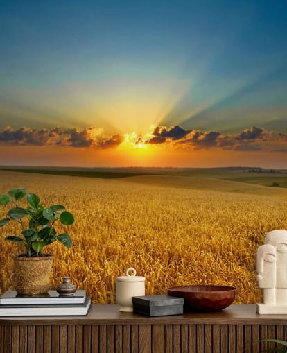 Campo de trigo dourado no Sunset Wall Mural