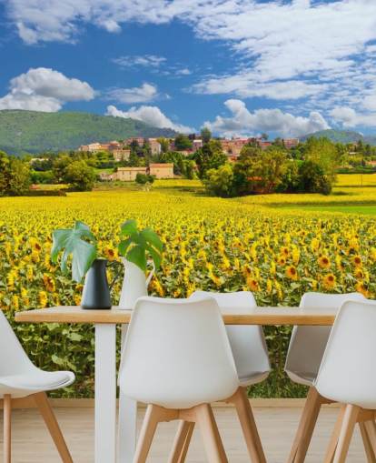 Zonnebloemen in een veld met rustiek huisbehang