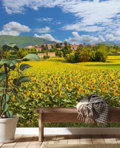 Girasoles en un campo con papel pintado de casas rústicas