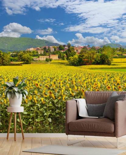 Girasoli in un campo con carta da parati rustica Girasoli in un campo con carta da parati rustica