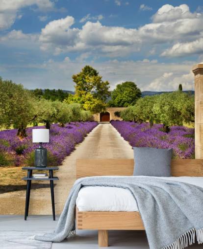 fondo de pantalla de lavanda campo detrás de