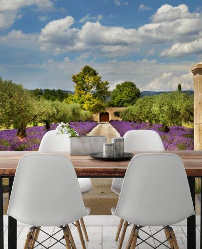 lavender field behind gate wallpaper