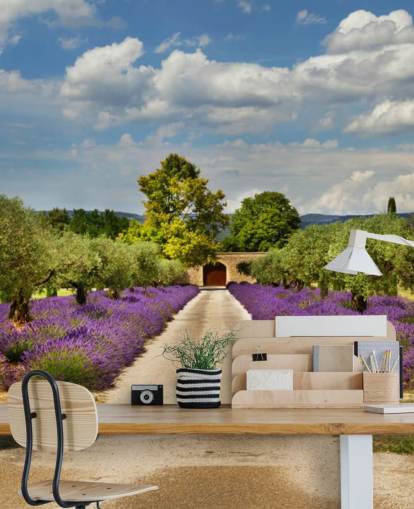 lavender field behind gate wallpaper