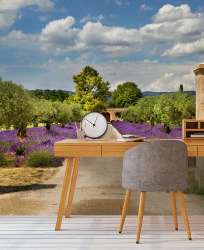 lavender field behind gate wallpaper