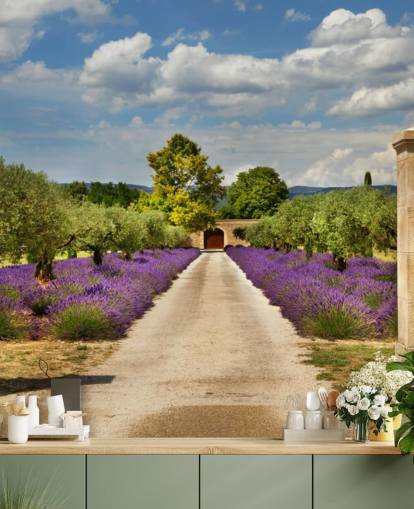 lavender field behind gate wallpaper lavender field behind gate wallpaper