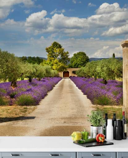 lavender field behind gate wallpaper