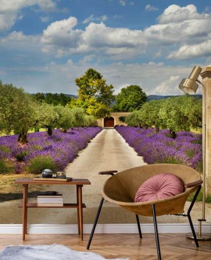 campo de lavanda atrás do portão wallpaper