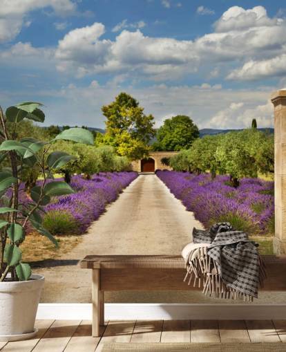 fondo de pantalla de lavanda campo detrás de