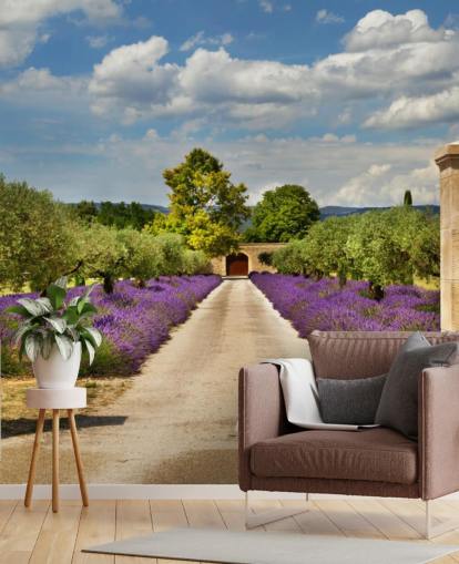 fondo de pantalla de lavanda campo detrás de