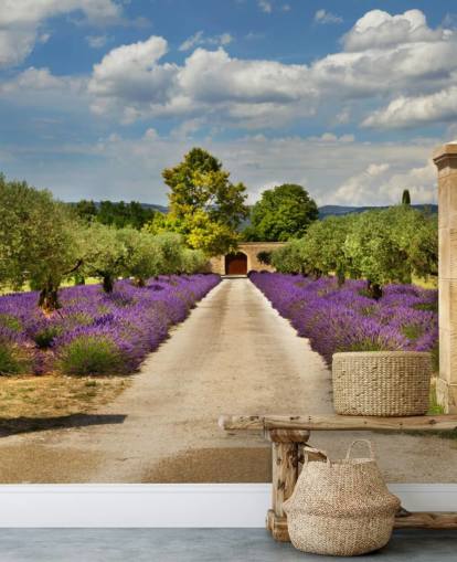 lavender field behind gate wallpaper