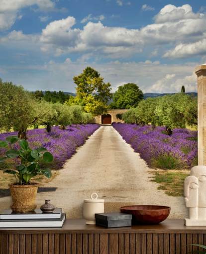 lavender field behind gate wallpaper
