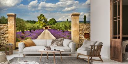 Provence - Lavendel Pathway Fototapete | Wallsauce DE