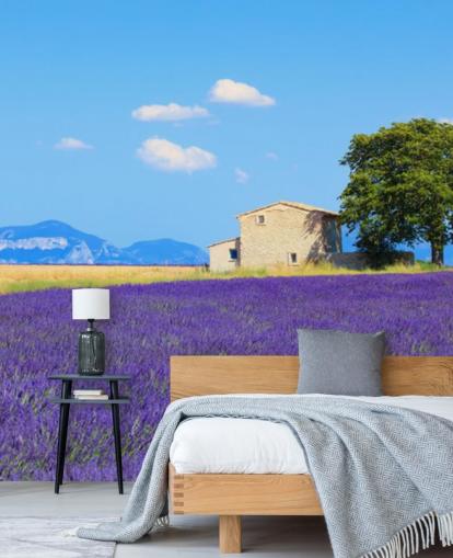 Lavendel felt Bakgrunn Lavendel felt Bakgrunn