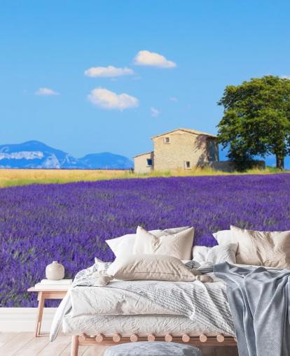 Lavendel Fields Tapete Lavendel Fields Tapete