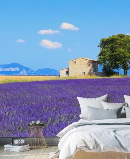 Lavender Fields Wallpaper Lavender Fields Wallpaper