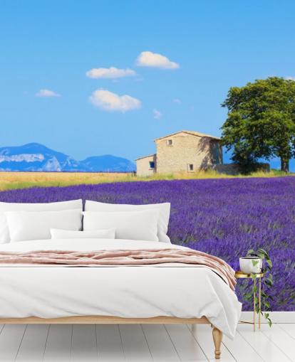 Lavender Fields Wallpaper
