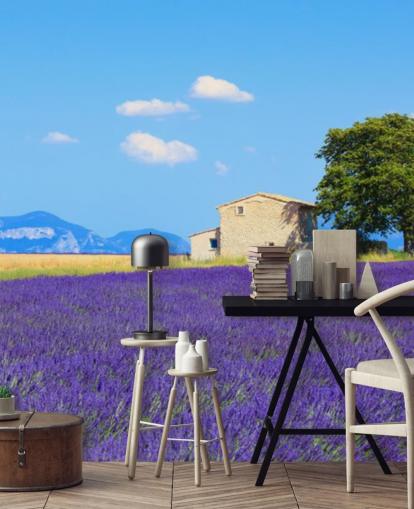 Lavendel Fields Baggrund