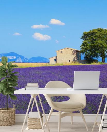 Lavendel felt Bakgrunn