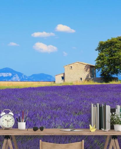 Lavender Fields Wallpaper