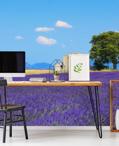 Lavender Fields Wallpaper
