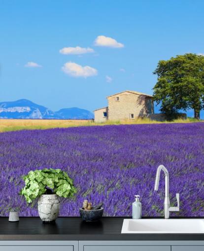 Fondo de pantalla de campos