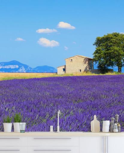 Lavender Fields Wallpaper