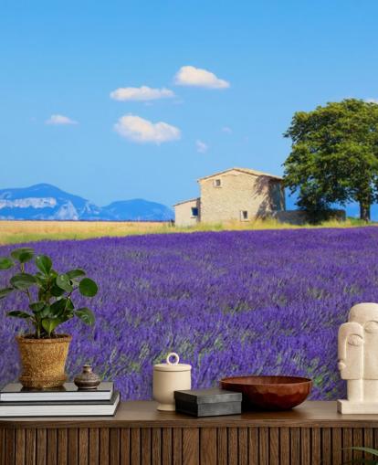 Lavendel felt Bakgrunn Lavendel felt Bakgrunn