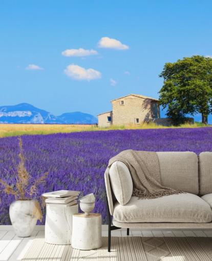 Lavender Fields Wallpaper