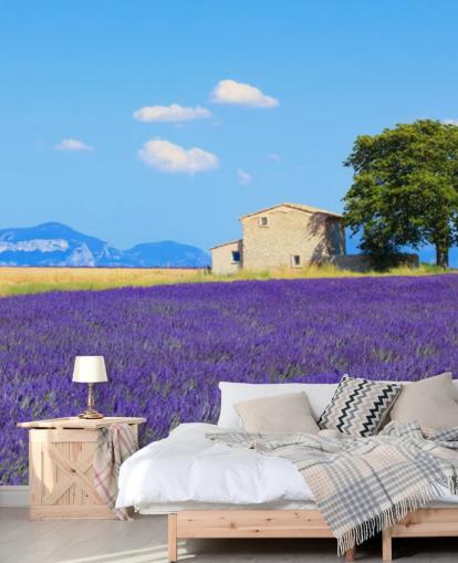 Lavender Fields Wallpaper