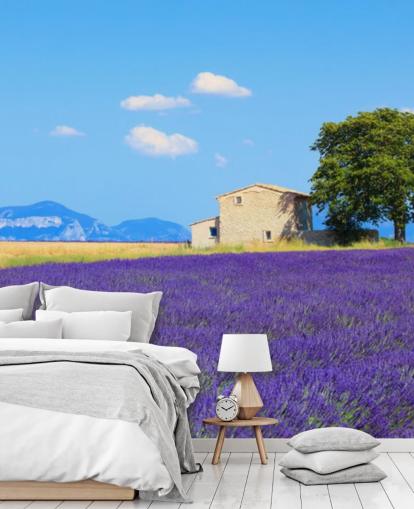 Lavender Fields Wallpaper