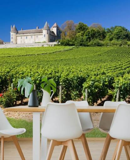 Fransk Chateau og Vineyard Baggrund Fransk Chateau og Vineyard Baggrund