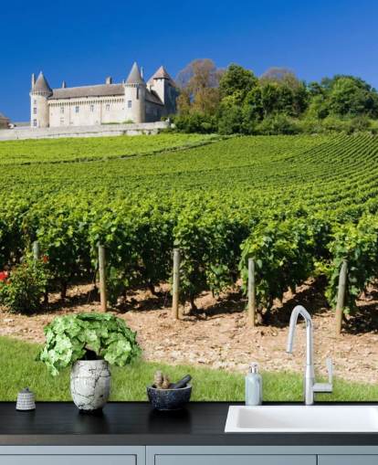 Fransk Chateau og Vineyard Bakgrunn Fransk Chateau og Vineyard Bakgrunn