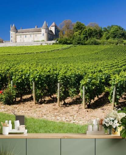 Carta da parati per castelli e vigneti francesi