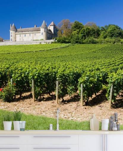 Carta da parati per castelli e vigneti francesi Carta da parati per castelli e vigneti francesi