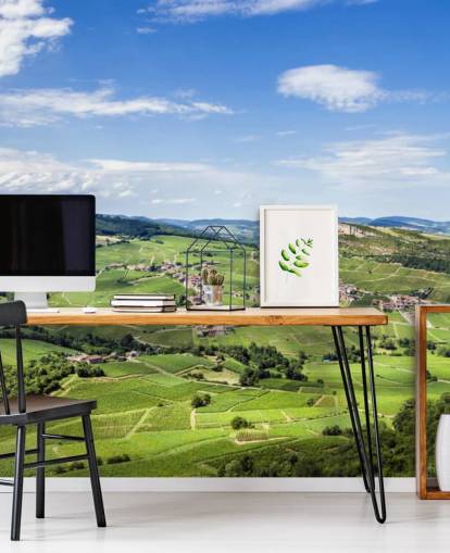 Old village with vineyards Wall Mural Wallpaper