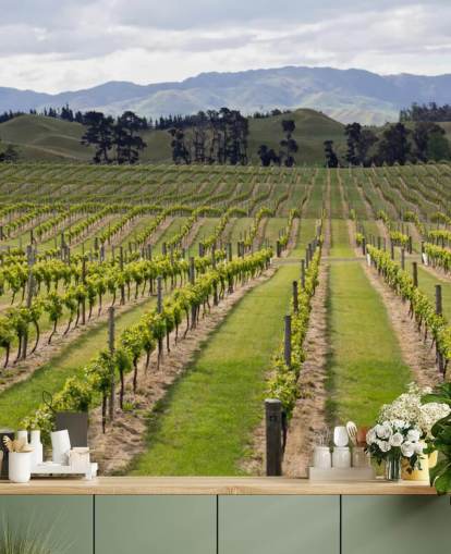 Marlboroughin viinitarhat Marlborough Vineyards Wallpaper 