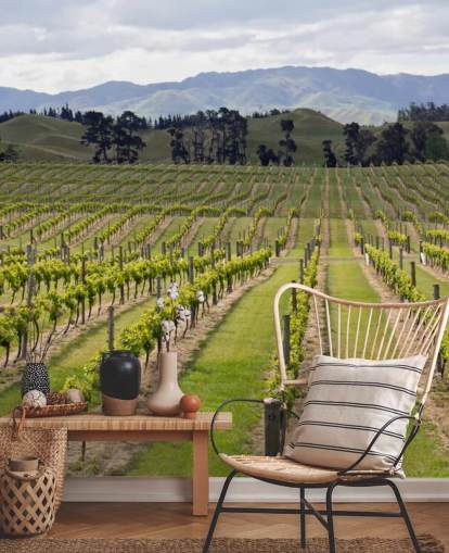Marlborough vingårdar Marlborough Vineyards Wallpaper Marlborough vingårdar Marlborough Vineyards Wallpaper