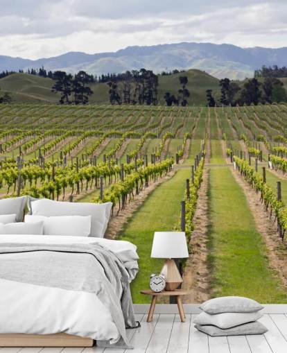 Marlborough Weinberge Marlborough Vineyards Wallpaper 